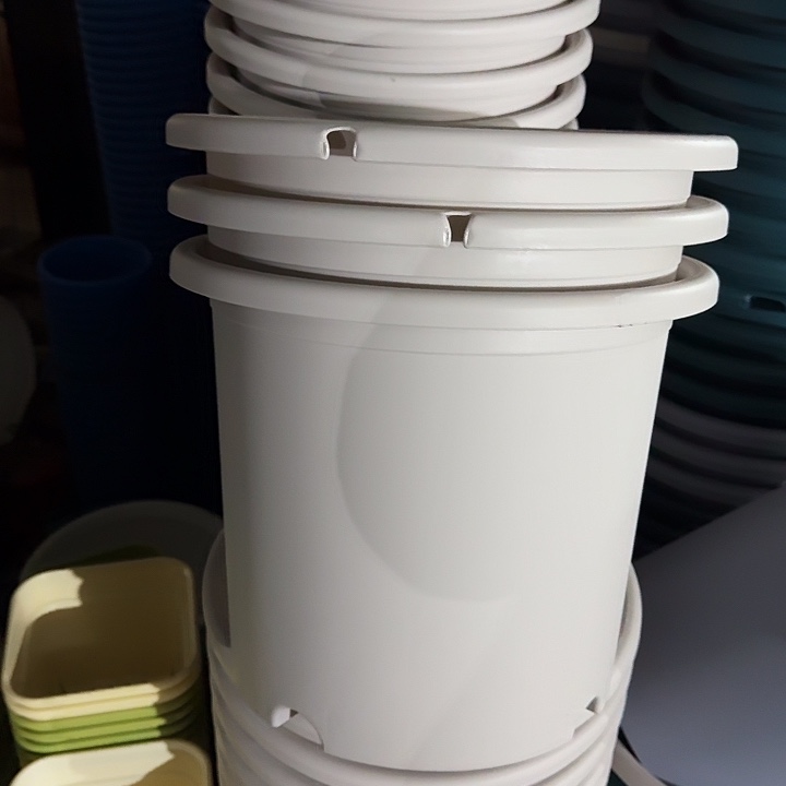 缺口6#口径32灰白10个无托