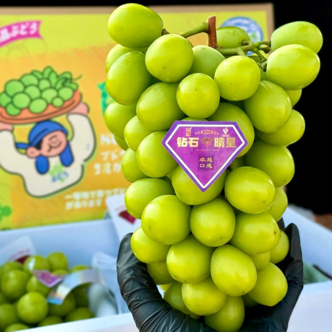 晴王葡萄1挂约1000g（1小时送货到家）浙江省