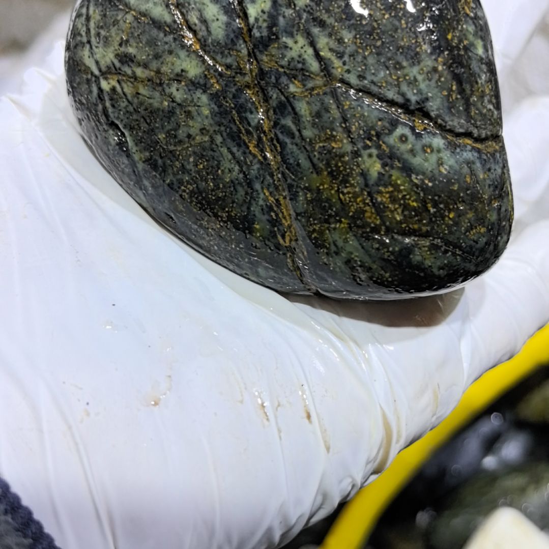 用***7藏玉药王石原石一个摆件