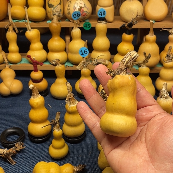 一***胆1111111111111111111