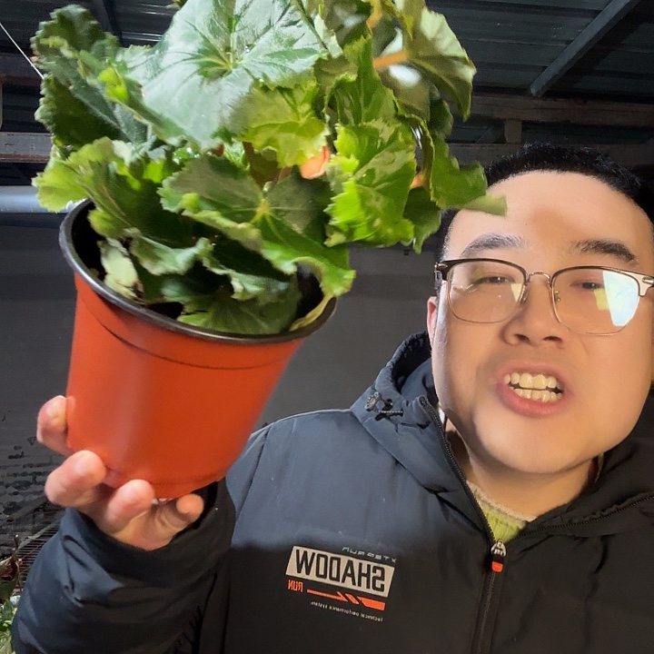 已***置完全开放公主粉➕保温