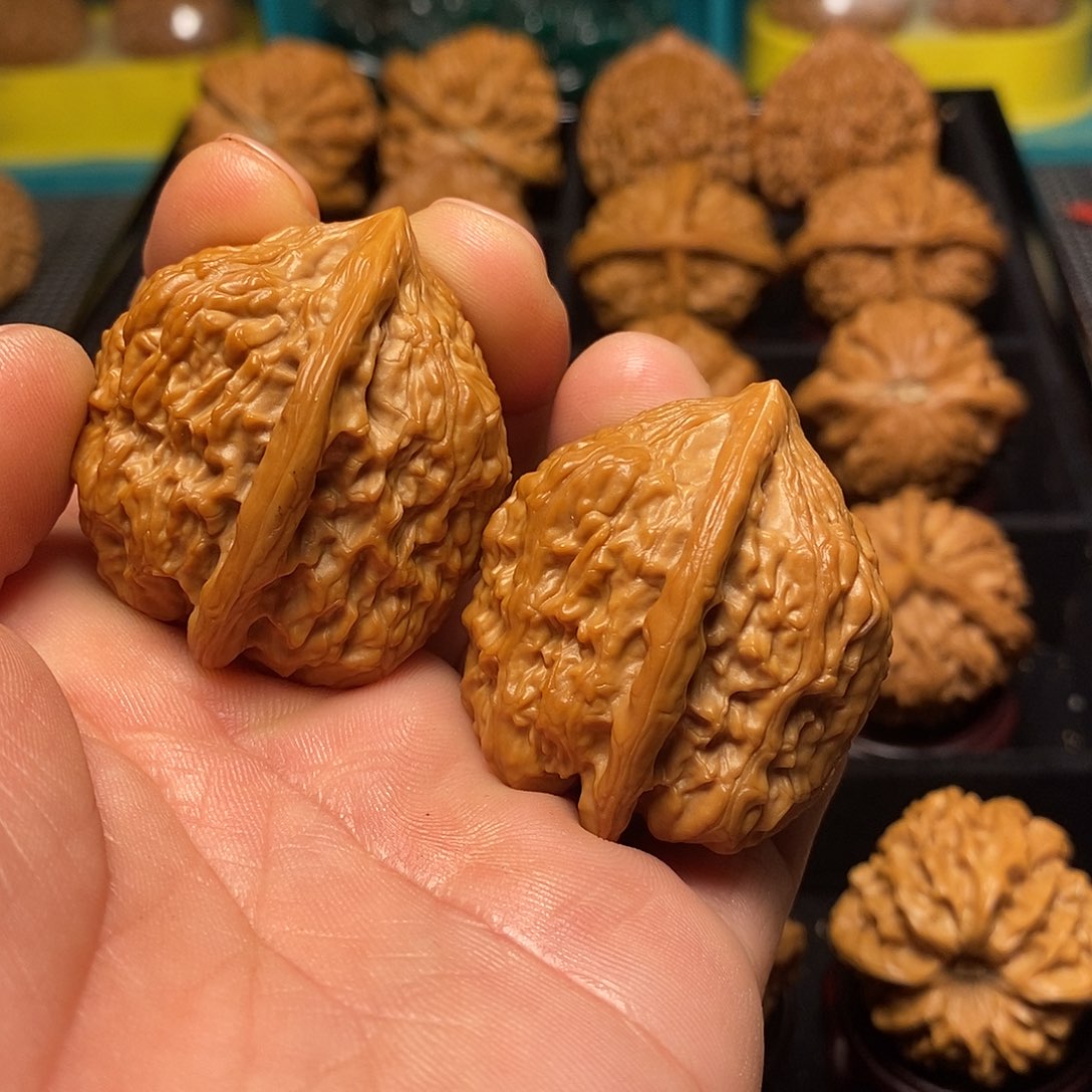 文玩核桃把件37尺金钱豹