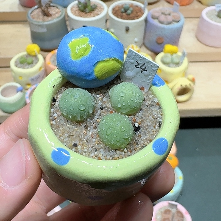 红陶蘑菇291鸽子蛋