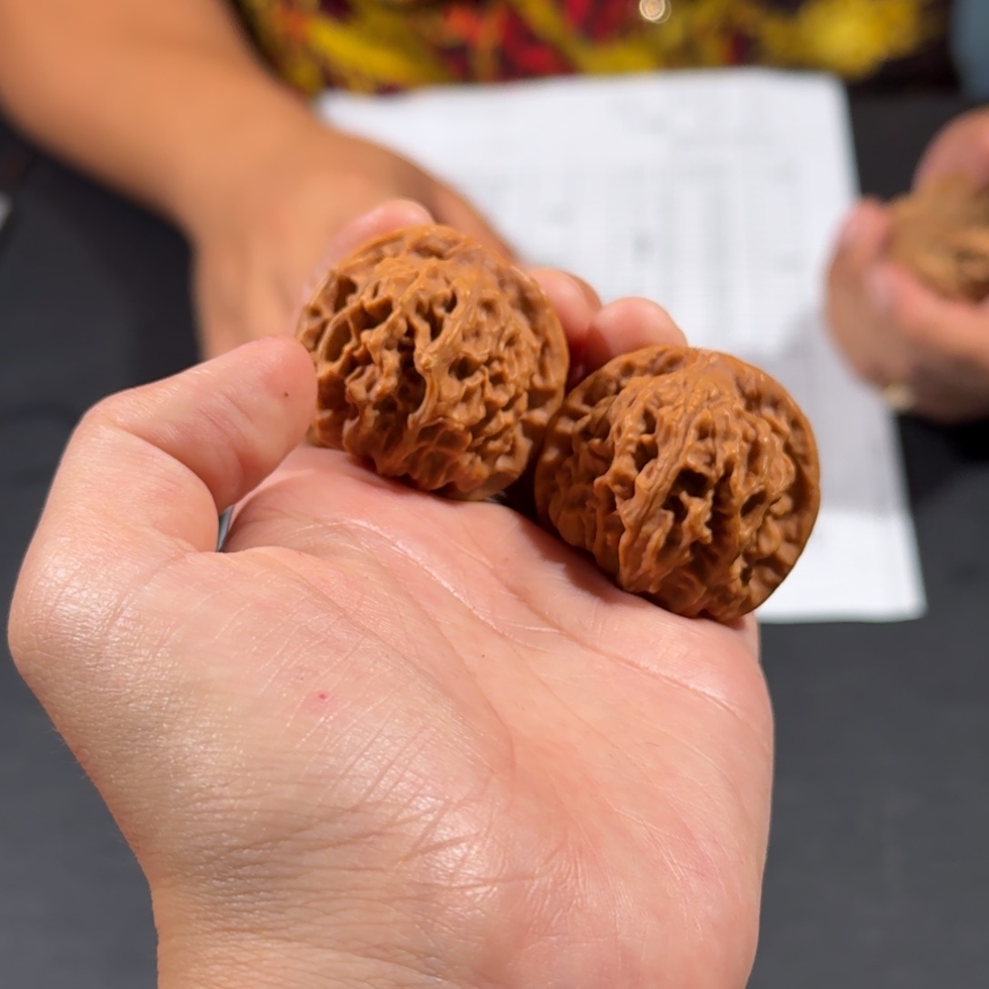 文玩核桃把件412号打底天地二爷帽