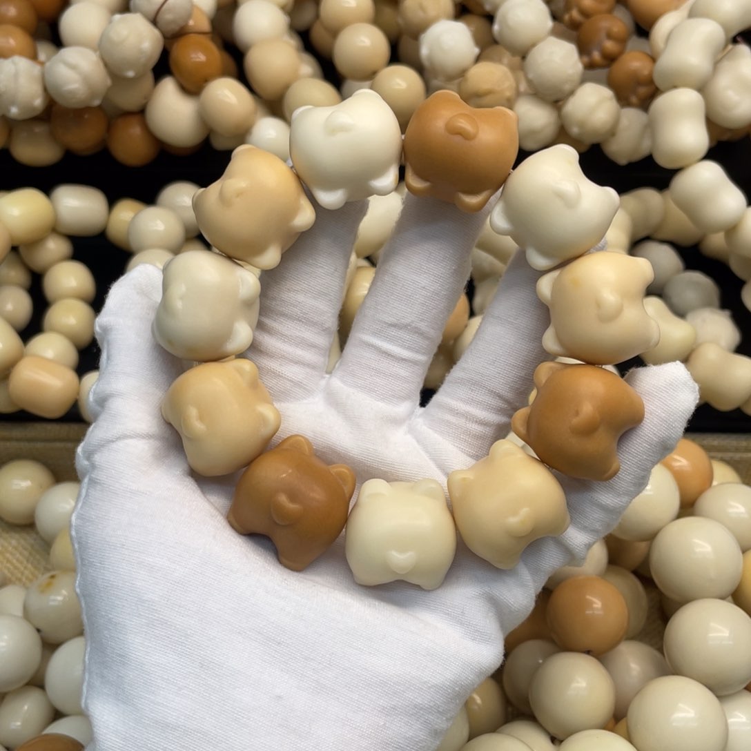 菩提根/象牙果吊坠23+干磨牙果多宝柯基565