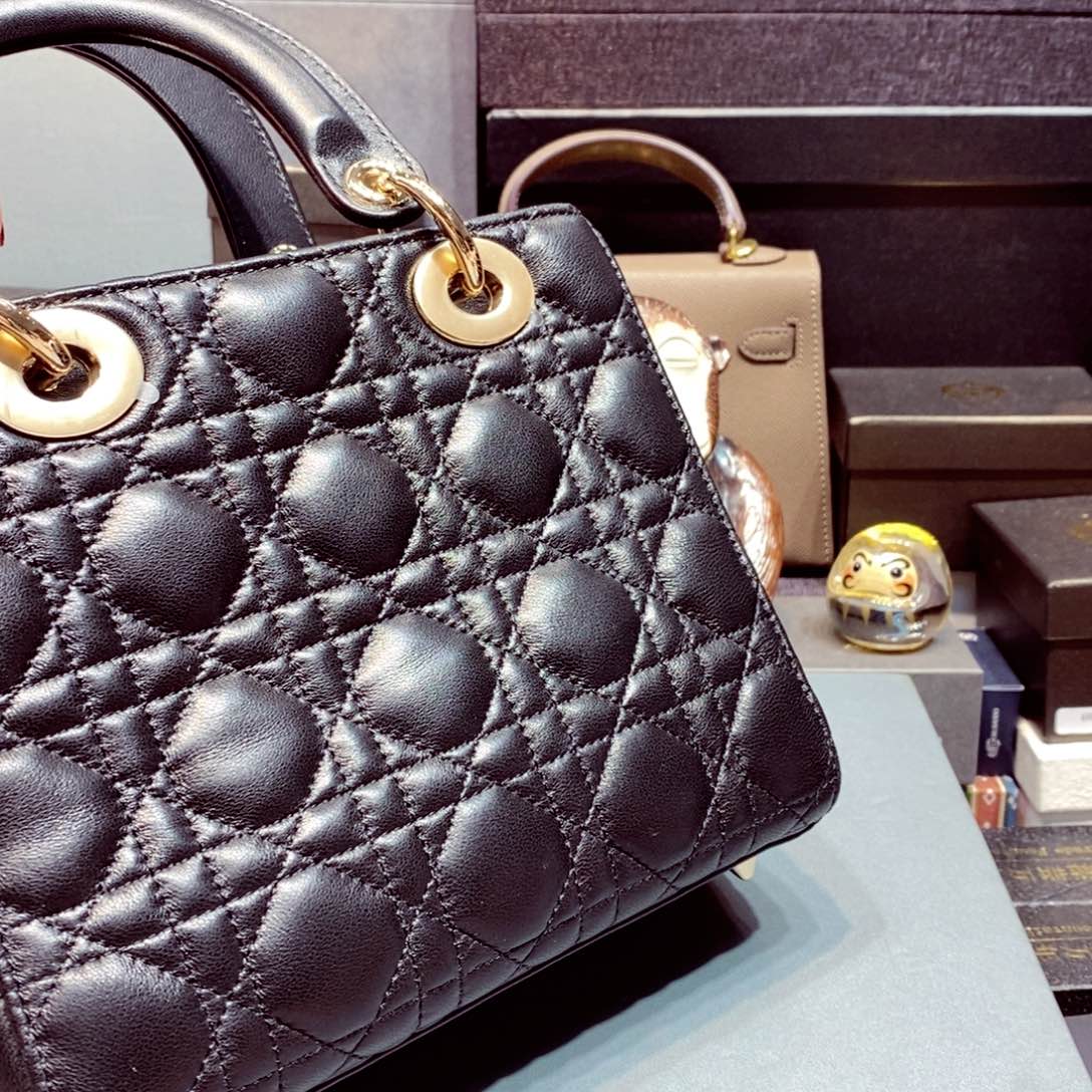 如图所示 观兰器物