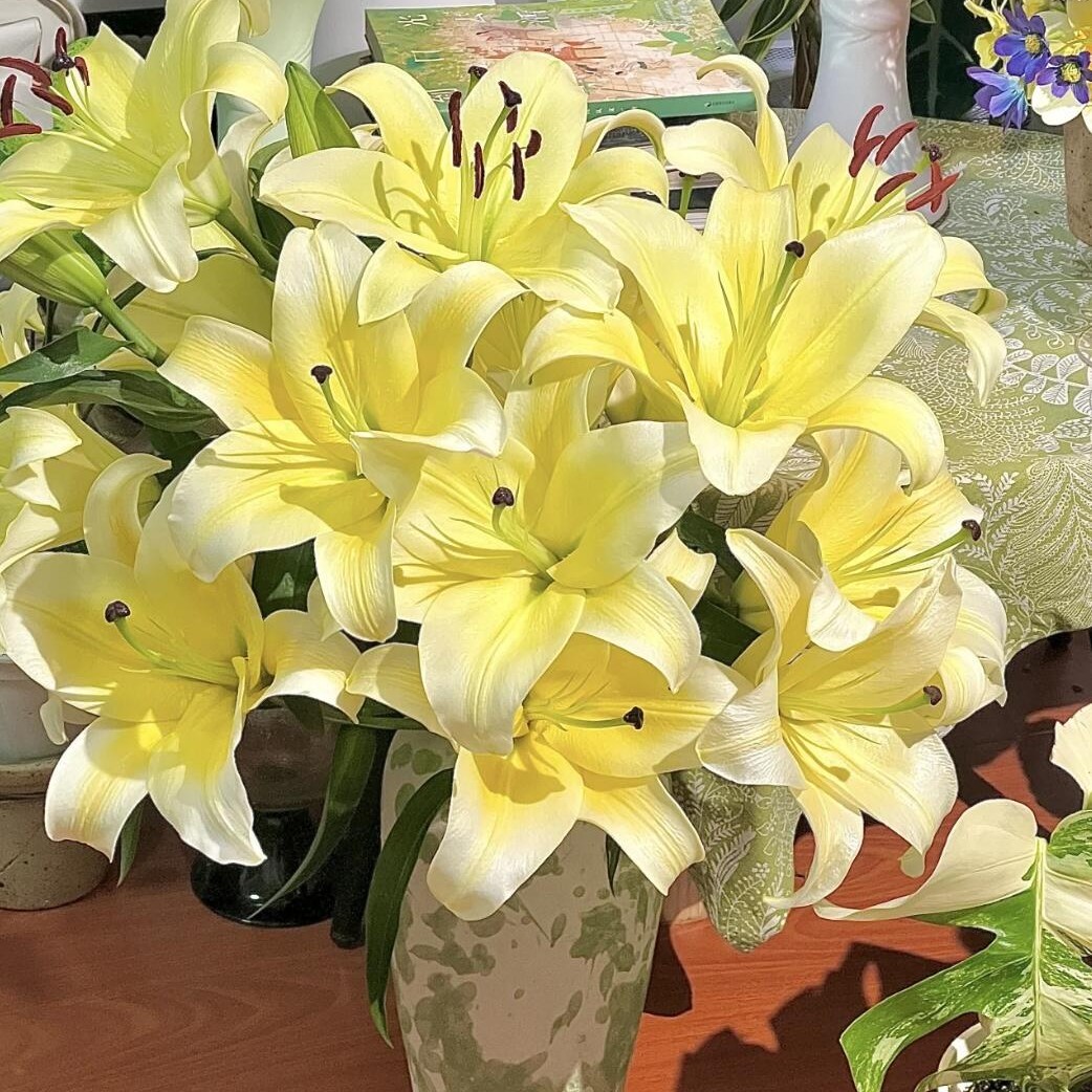 【黄天霸香水百合】零下拍保温，否则冻坏不售后，云南基地现采鲜花