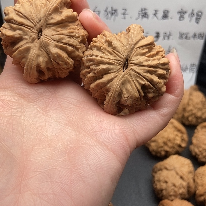 無***浪大大大大大大大大官帽