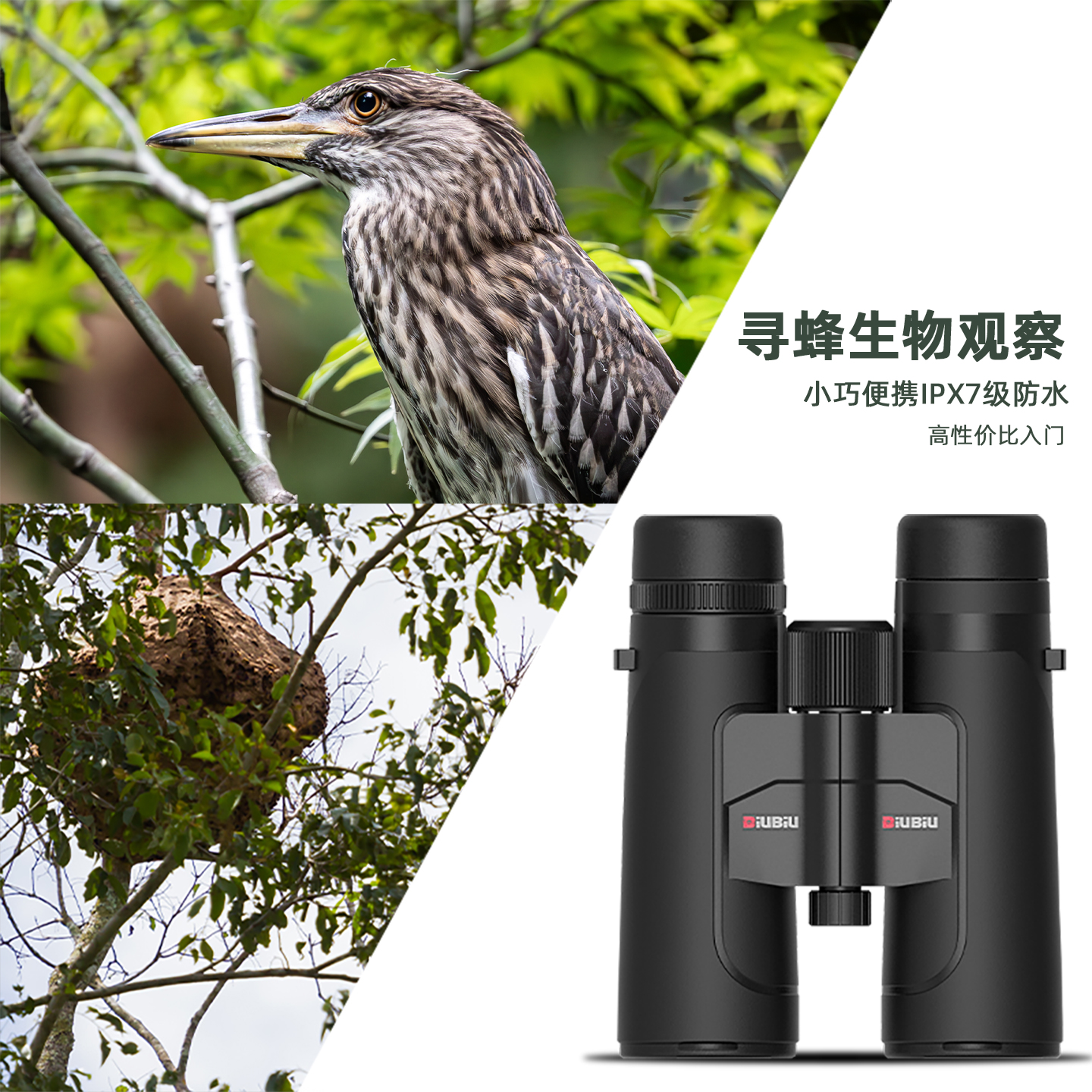 2026年新款BIUBIU必优星途12x42ED高倍高清旅游演唱会双筒望远镜