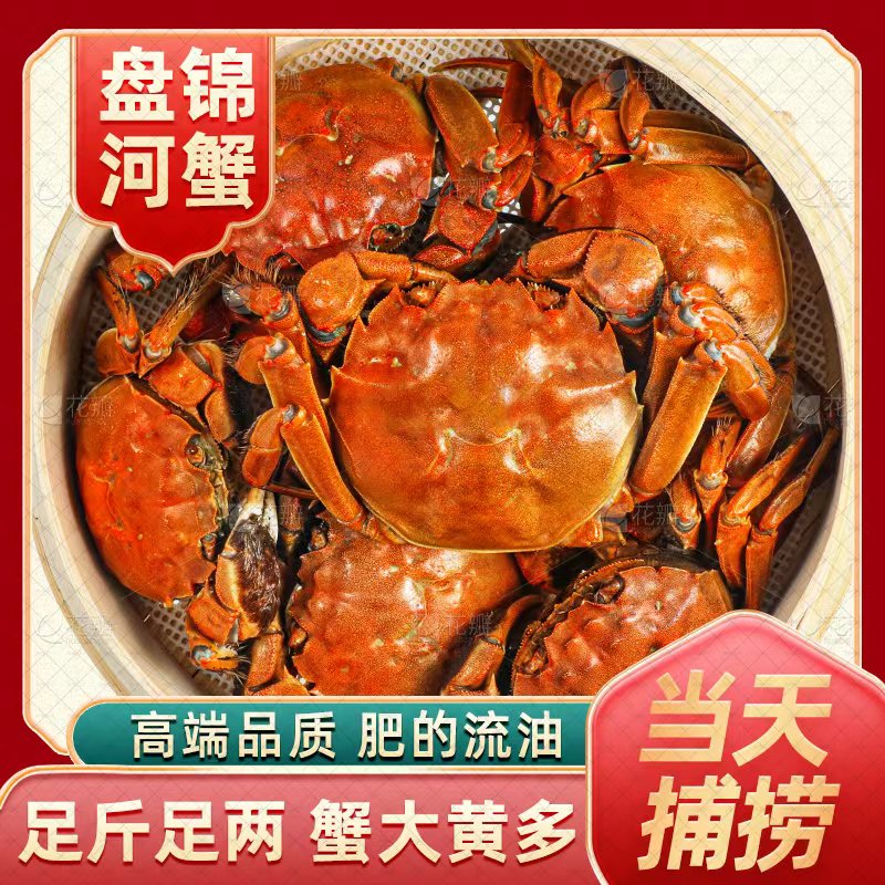 【活蟹】盘锦河蟹1.7~2.0两母蟹2斤3斤产地直发