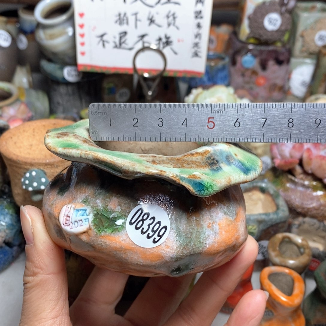 花盆拍1送一个小礼物