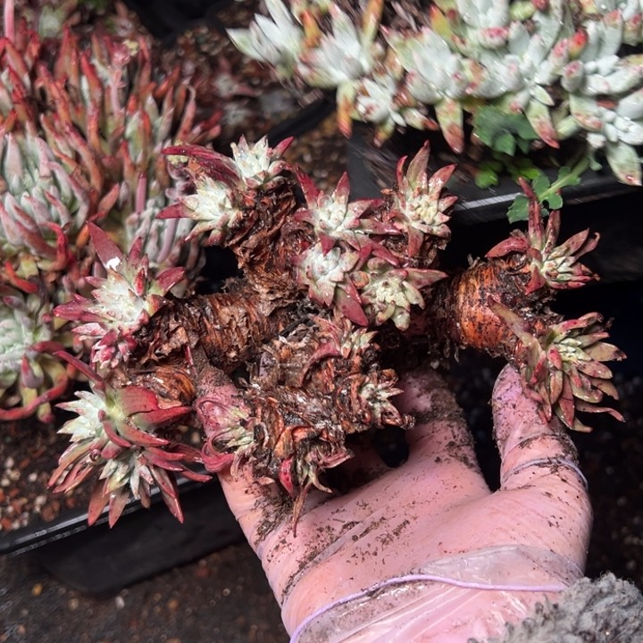 255哈哈哈哈哈哈哈哈哈