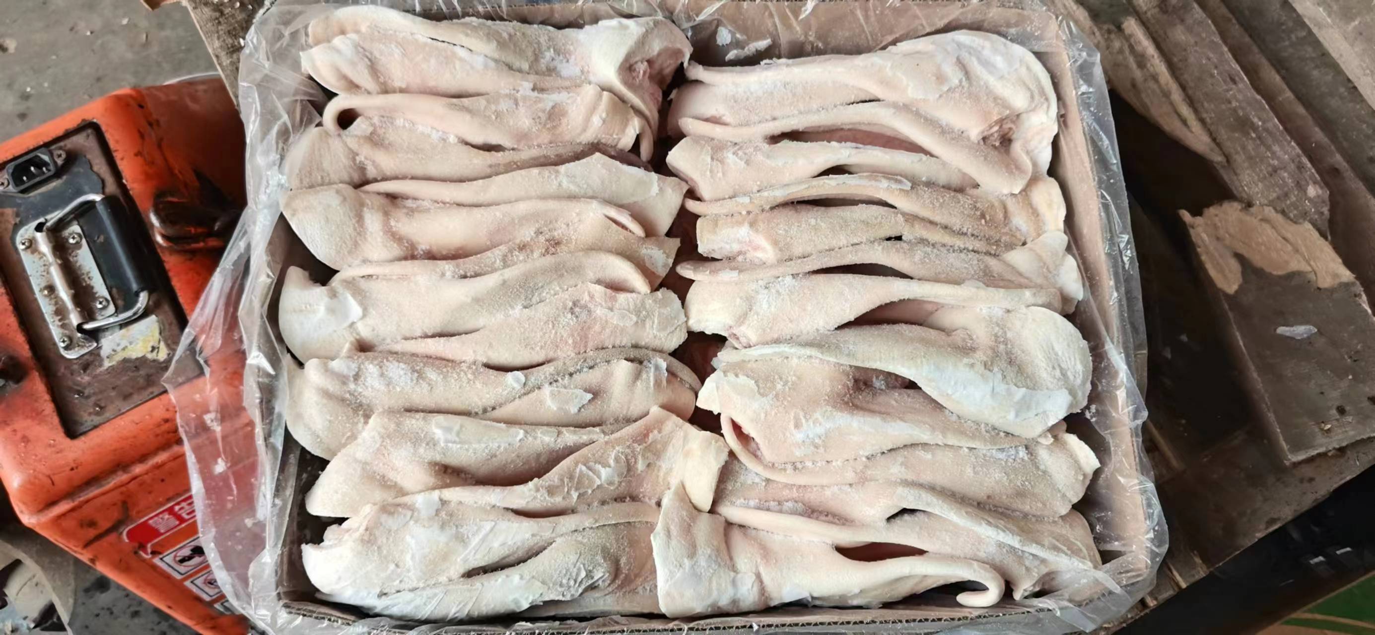 鲜冻猪耳朵生猪耳带肉两指半解冻18斤左右