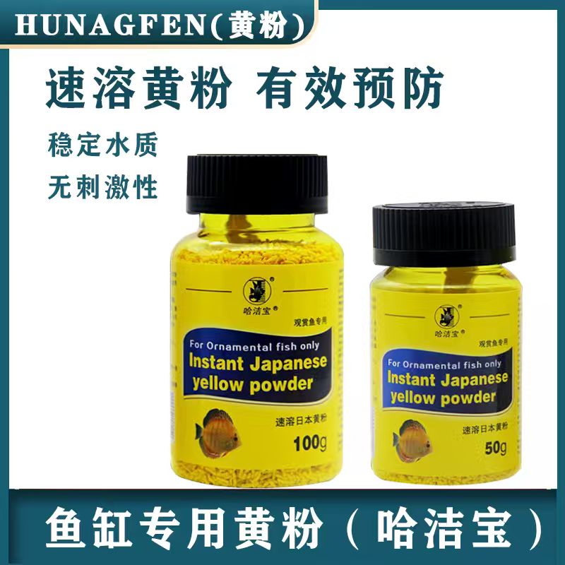 日本黄粉烂身烂尾鱼池鱼缸观赏鱼金鱼锦鲤水霉蒙眼专用