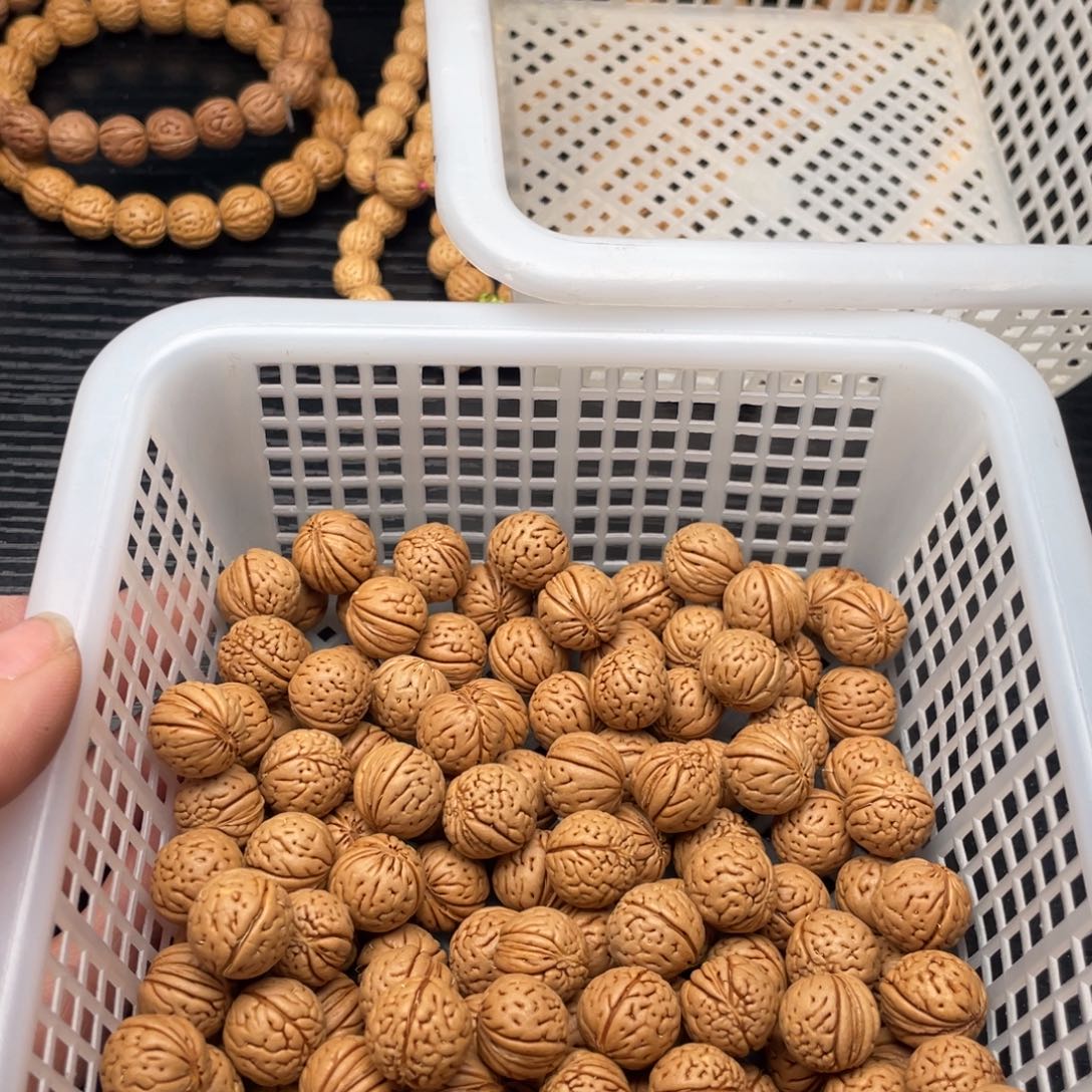 【闪购商品】斑**?散子发货50米