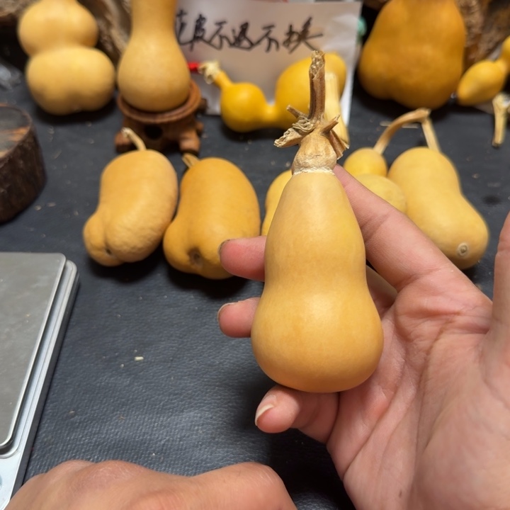 璞***緣微瑕8888888888888