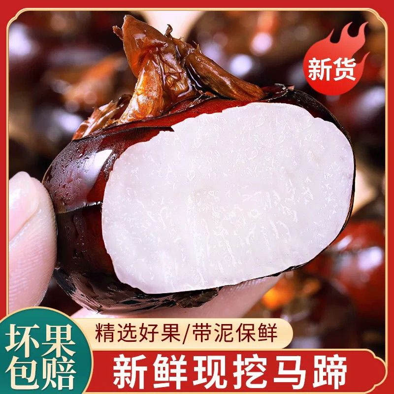 正宗广西荔浦水果马蹄荸荠现挖现发当季水果蔬菜整箱脆包邮5斤