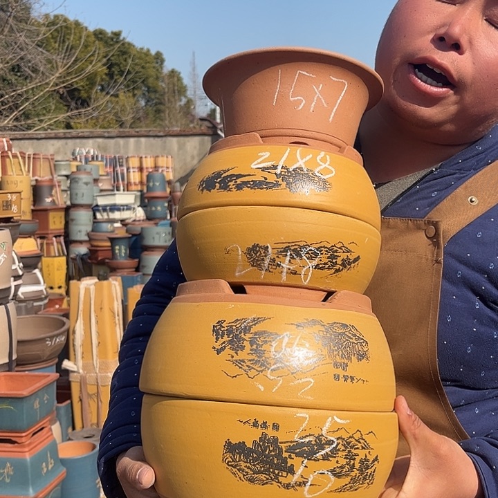 紫砂紫砂花盆盆栽