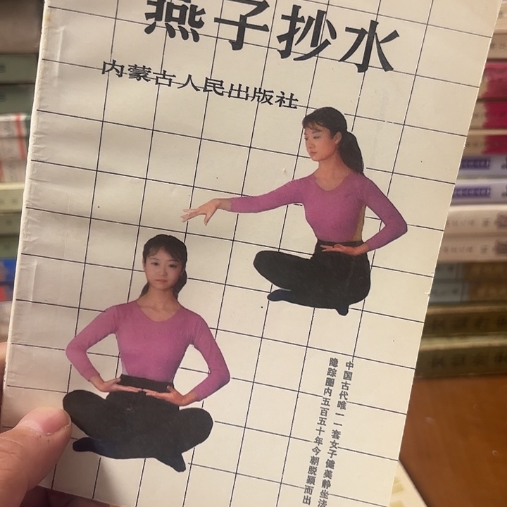 燕子抄水二手书籍