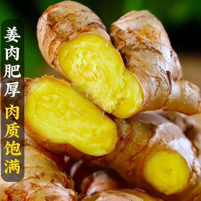 【甜甜果蔬】云南大黄姜新鲜二黄姜现挖红芽仔姜新鲜二黄姜
