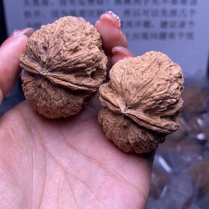 核桃云南野生铁核桃193号45mm