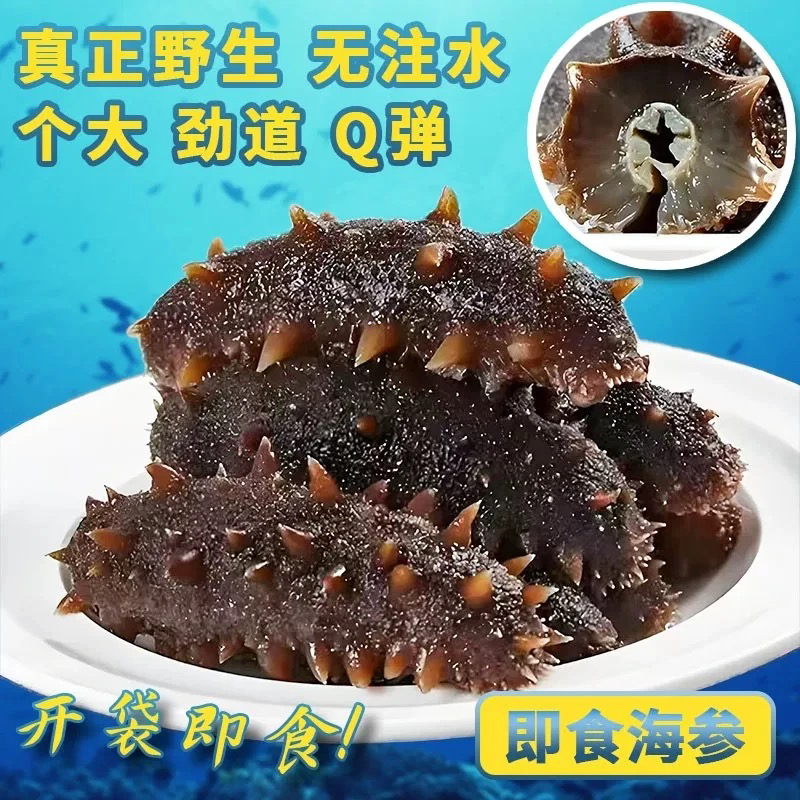 20根加10根深海刺 参即食海参  顺丰冷链 包邮