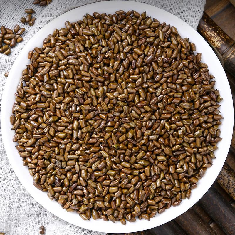 正宗新决明子泡茶炒熟配菊花泡水