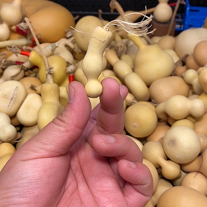 z****7精品葫芦手把葫芦15