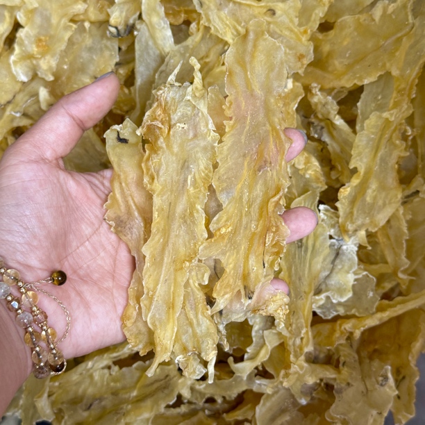 【鱼胶福利】深海正宗鳕鱼胶滋补花胶炖汤营养大盆菜花胶干货