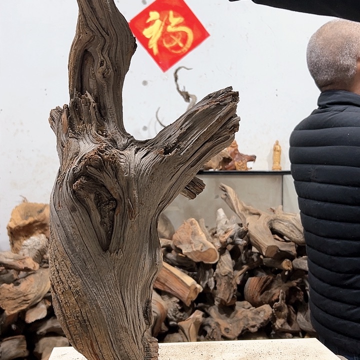 柏木用****7我们的生活也是如此