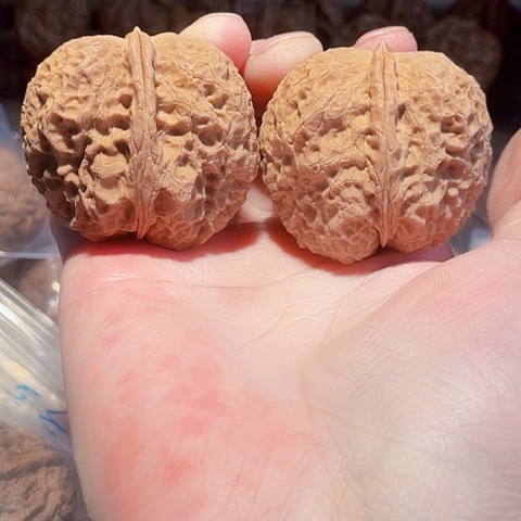 文玩核桃把件铁狮蟾带彩45