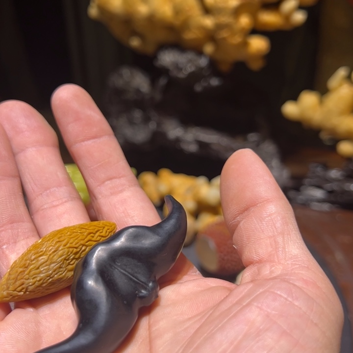 坠***叶寿山石我也是很喜欢