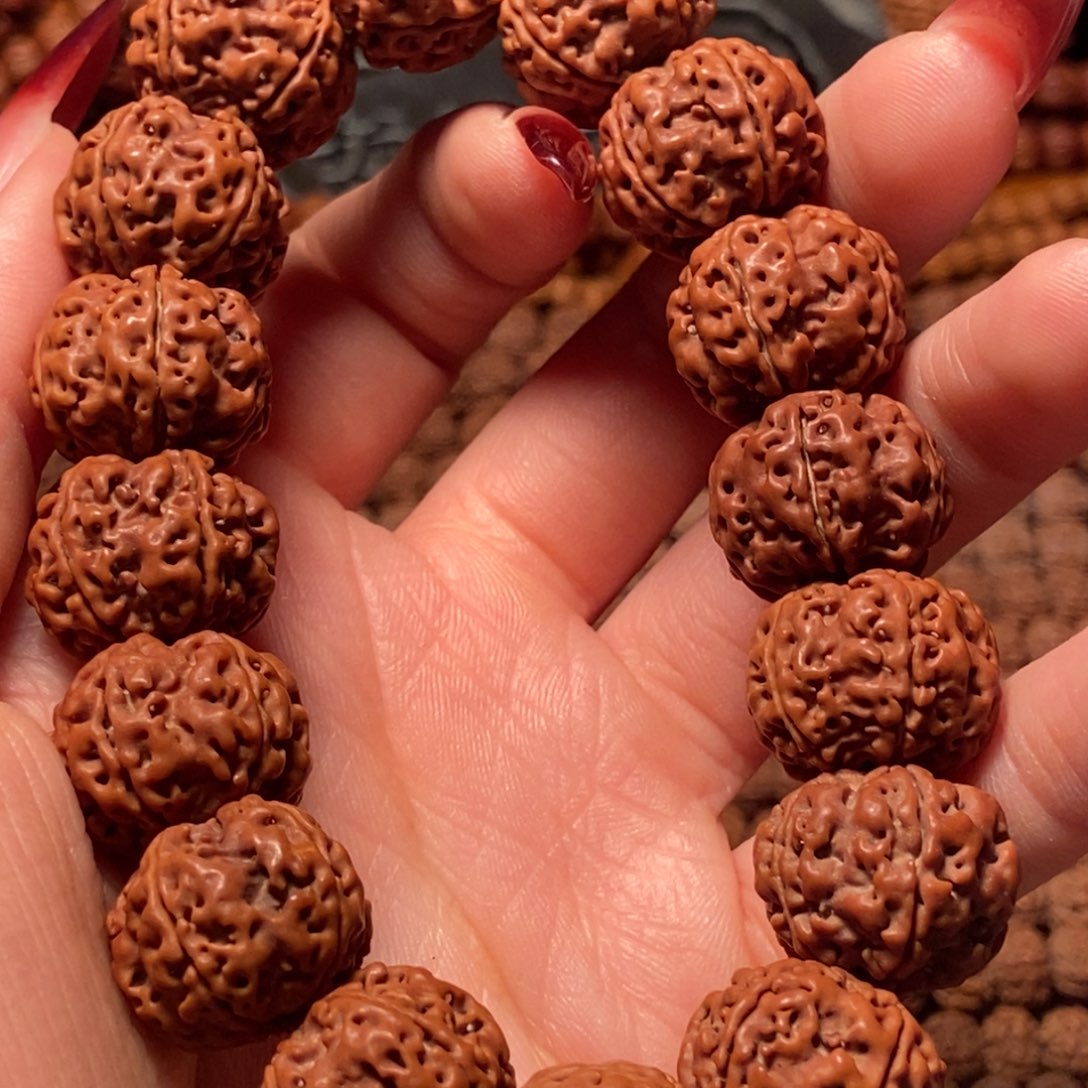 金刚菩提手串五瓣18蜂窝双龙228