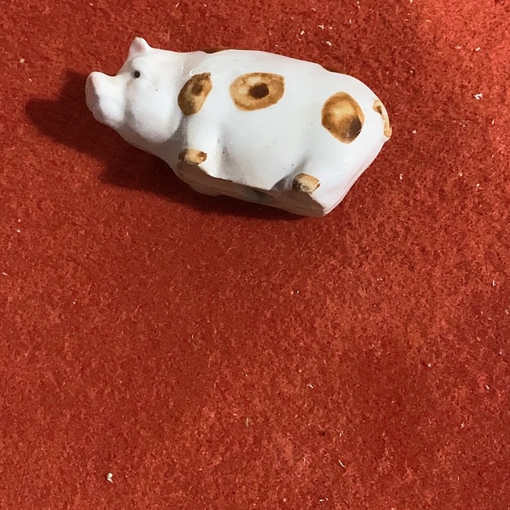 瓷片耳朵上一点点小课啊一点