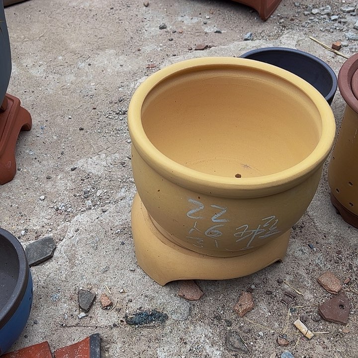 红陶紫砂艺术学院