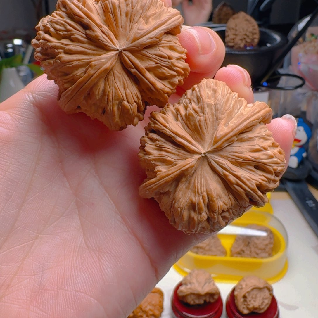 核桃把件白狮子连体四棱