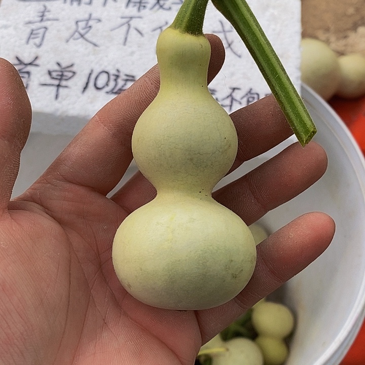 K****?哦快快恢复寿山福海将加快