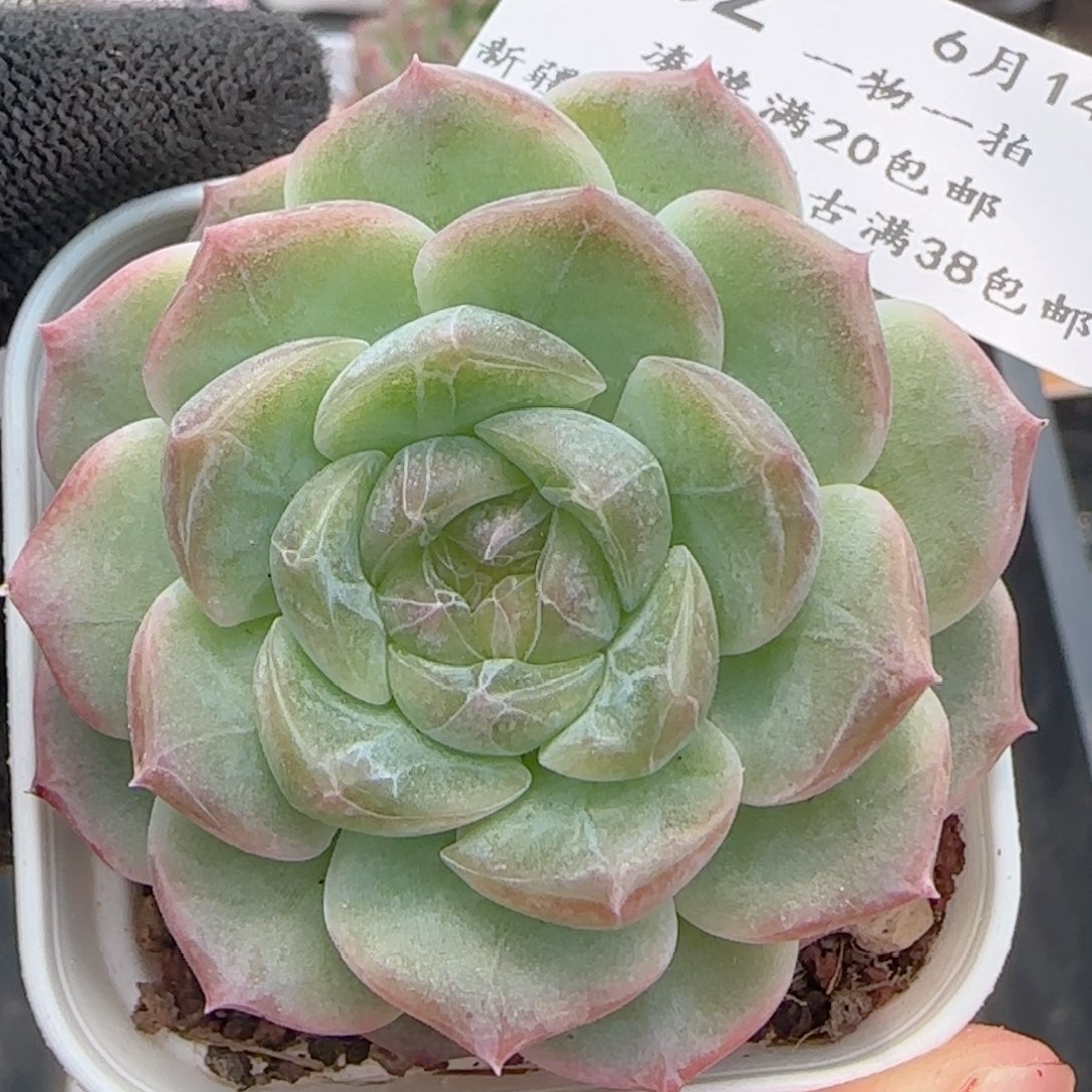 0614-262无尽灯无尽