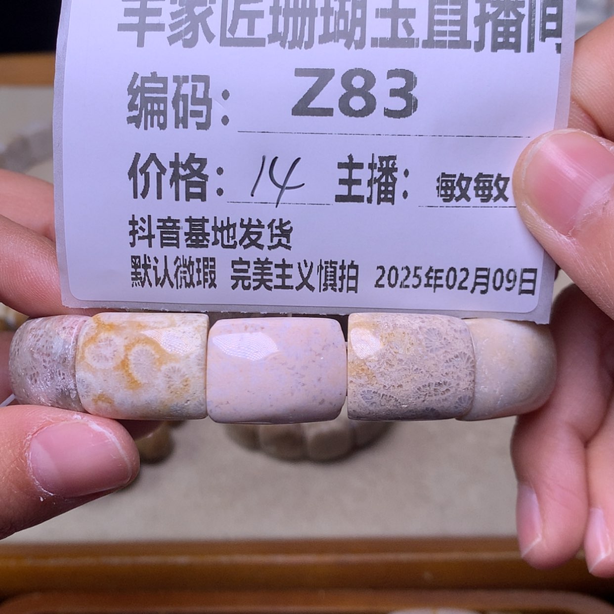 【闪购商品】硅化珊瑚（珊瑚玉）颈饰未镶嵌无*春Z83