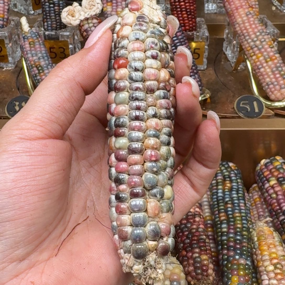 柏香籽/百香籽吊坠陆*