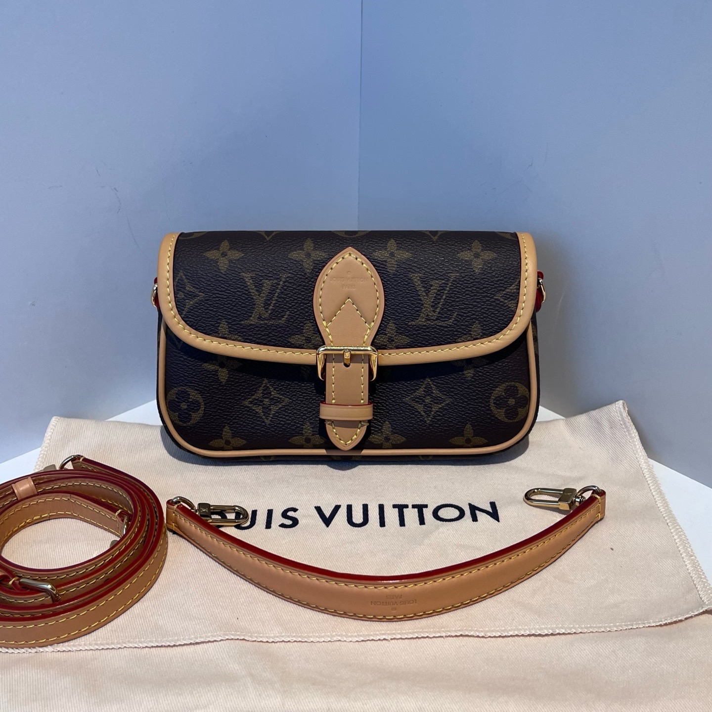 未使用 LouisVuitton/路易威登 LV路易威登 老花法棍nano 芯片款