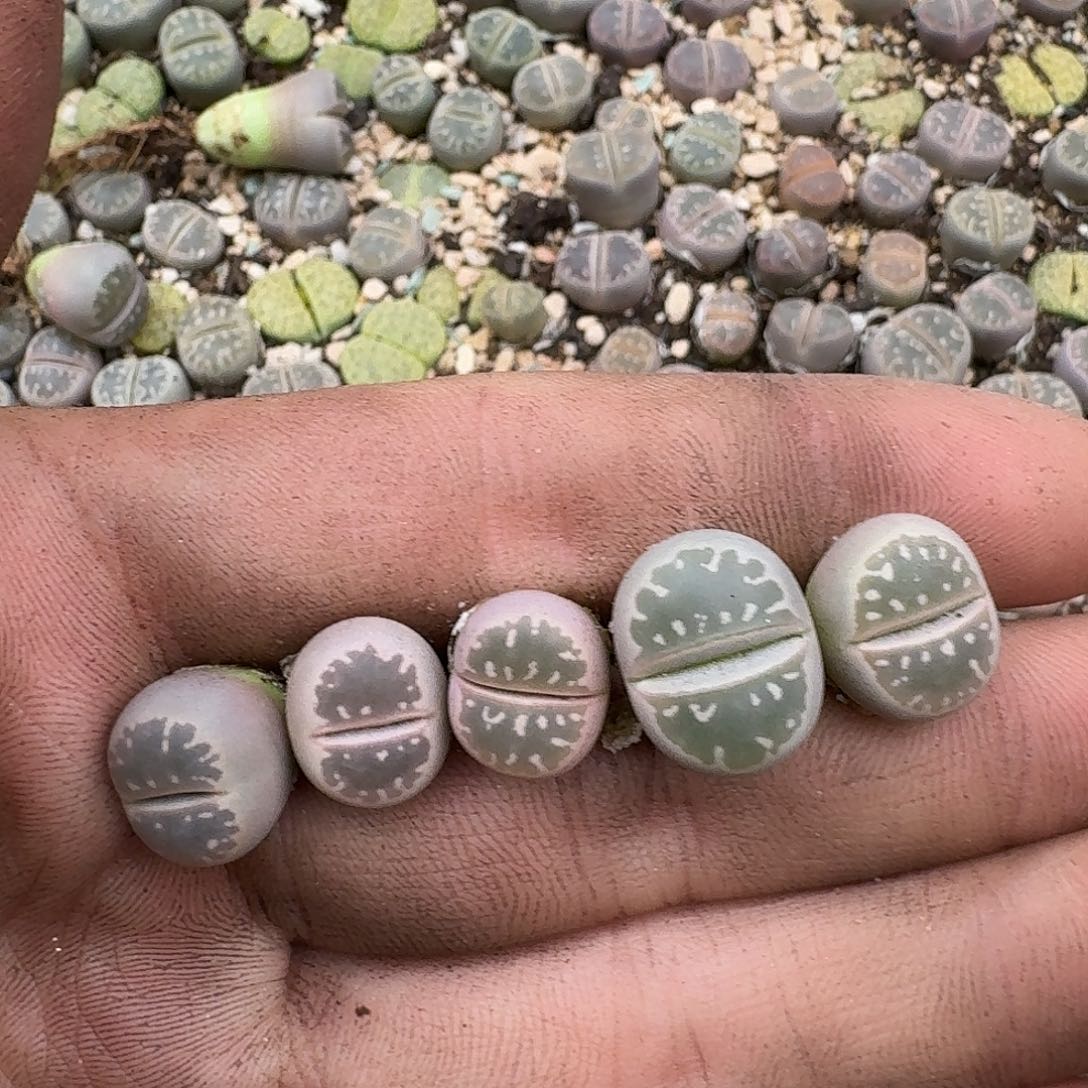 2824 哈哈哈哈哈哈哈哈哈