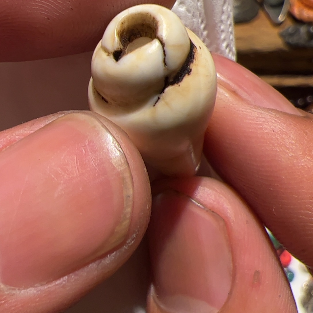 香榧木你的时候你
