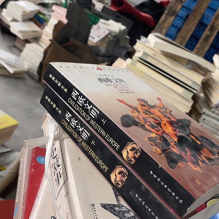 正版微瑕西欧文明