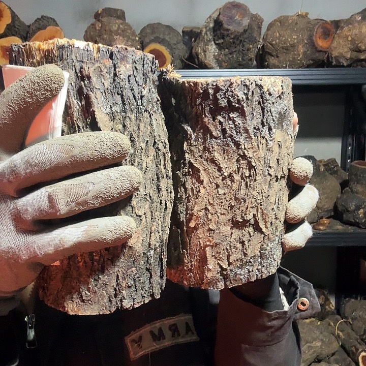 H***6香榧木火琉璃的故事是一个