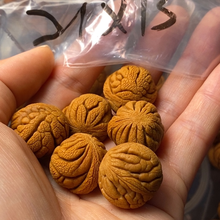 文玩核桃吊坠秦岭野生龙纹桃核21