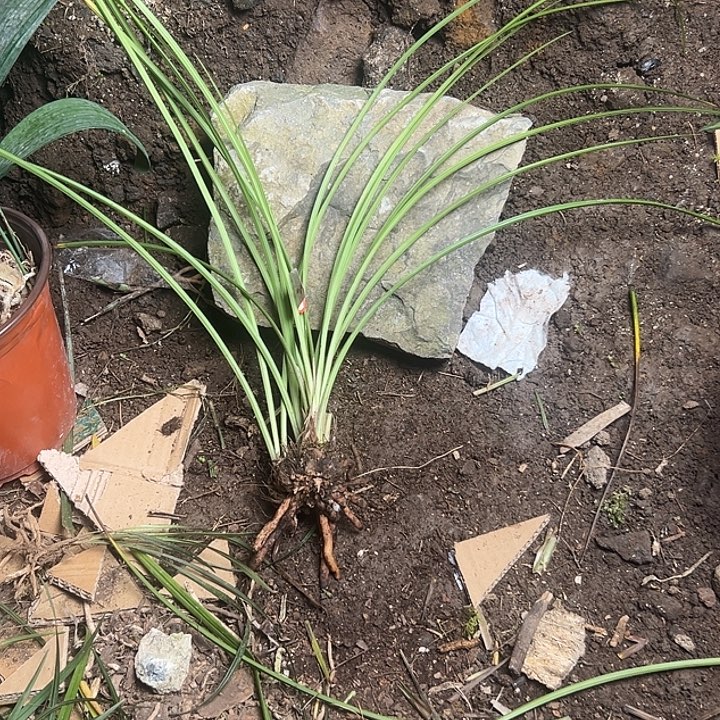 完全开放25252525