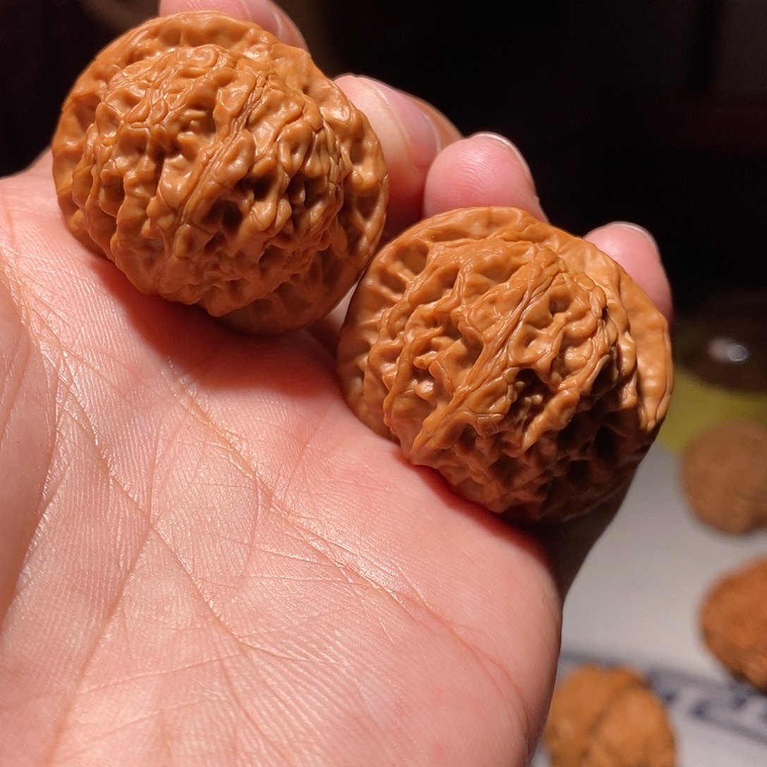 把件文玩核桃021金丹高端小众头货对金丹狮子头