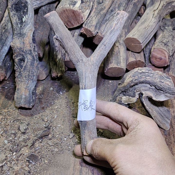 …***贵火琉璃原杈不保沉水慎拍！