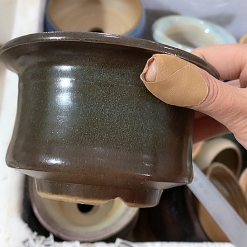 【闪购商品】红陶口9.5